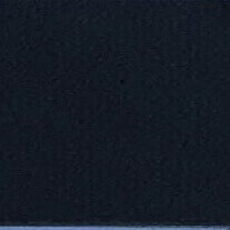 Dark leather texture sample with granular surface, charcoal and navy tones, diffused lighting, and a “cprn homood” label detail.