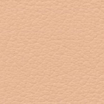 Light tan leather texture with granular surface, CPRN Homood branding, CL2021 collection color 151, diffused lighting, muted beige tones.