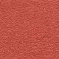 Leather sample, terracotta color, granular texture; CPRN Homood material labeled “cl2021 col. 155” against a neutral backdrop.
