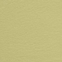 Olive green fibrous texture sample with “cprn homood > leather (b) > cl2021 col. 166” text, muted tone, diffuse lighting.