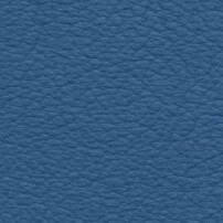 Blue leather texture sample with a granular, pebbled surface and consistent saturated tone, displaying code “cl2021 col. 177”.