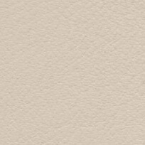 CPRN Homood leather texture, neutral beige tone, finely granular surface with collection label “cl2021 col. 179” in lower left corner.
