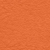 Granular orange texture with a matte finish, displaying a dense pattern of small, irregular bumps across the surface, resembling stucco or fabric.
