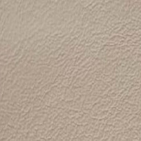 Beige stucco texture with granular pattern, matte finish, and code “cl2021 col. 198” indicating a CPRN Homood leather sample.