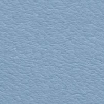 Light blue leather texture with a fine granular finish, displaying a mottled, matte surface and imprinted sample code “cl2021 col. 227”.