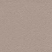 CPRN Homood leather swatch, warm taupe color, granular texture, matte finish, sample labeled “cl2021 col. 280” in sans-serif font.