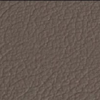 Brown leather texture sample displaying a mottled surface with irregular lines and a matte finish, identified as cl2021 col. 282.