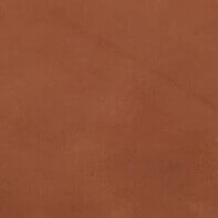 CPRN Homood leather sample, reddish-brown color, granular texture with collection details “CL2006 col. 0329” visible in the corner.
