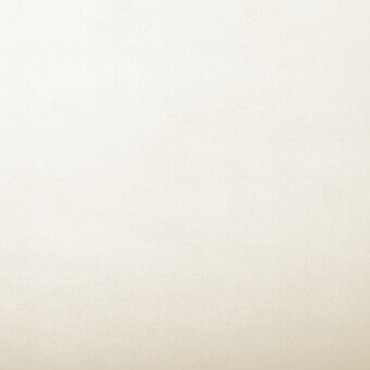 VR001-white-ros-101-P