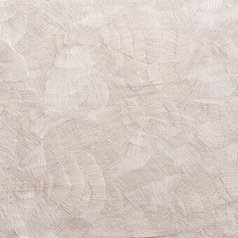 CACL01-4061-COL-0134-CREME