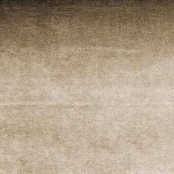 EX0007-Shine-Beige-016