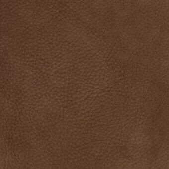 PN001-01-P