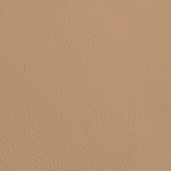 PSSG04-CAMEL-6021-P