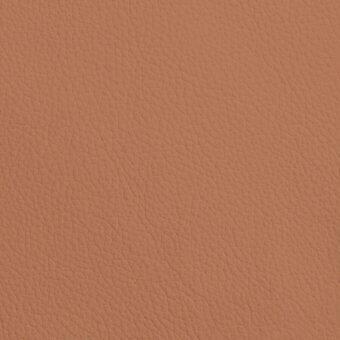 PSSG05-RUST-6019-P