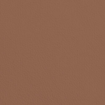 PSSG09-CHOCOLATE-6011-P