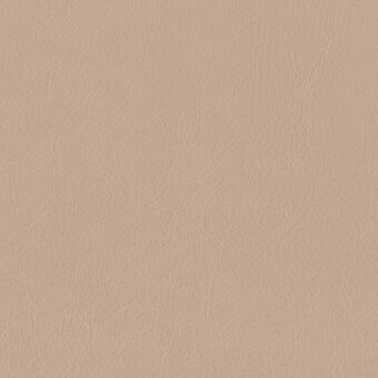 FENICE-1-26-P