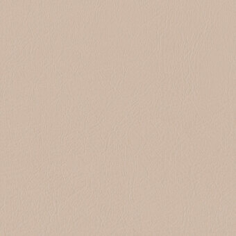 FENICE-2-26-P