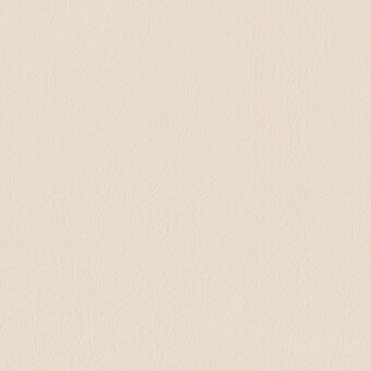 FENICE-5-26-P