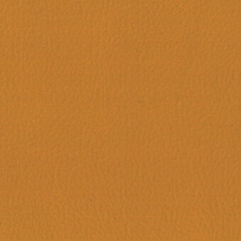 D-480-mango