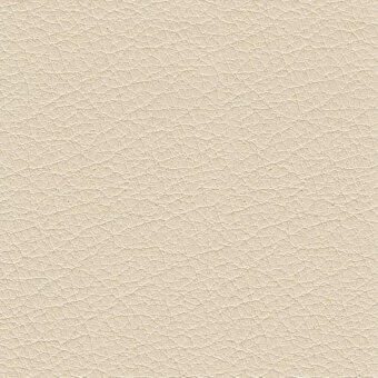 Leather 9001