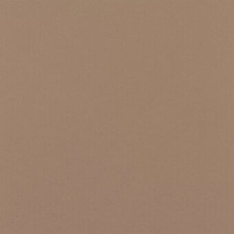 Saddle Leather 9813