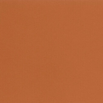 Saddle Leather 9815