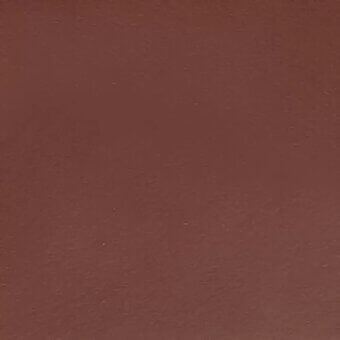 Saddle Leather 9818