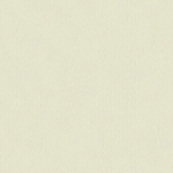 Creamy beige textured surface with a matte finish and granular texture, displaying subtle tonal variations and a soft, brushed quality.