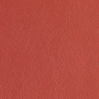 Corallo leather texture sample from Casa Casati Vision collection, displaying a fine, pebbled grain and warm reddish-orange tone.