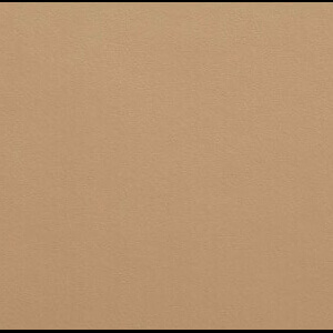 Saddle leather texture, caramello color, granular matte finish with dark gray border, natural grain pattern.