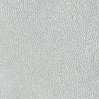 Light gray leather texture with dense, irregular grain and subtle reflectivity; natural, porous quality; Cierre1972 Romana 102 leather.