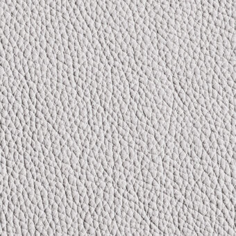 White pebble-grain leather texture with a dense, granulated pattern and matte finish, identified as Windsor 101 leather by Cierre1972.