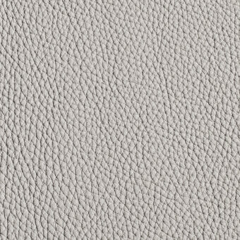 Light gray leather texture with fine wrinkles, a natural grain, and subtle tonal variations; embossed with “windsor 102” designation.