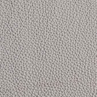Light gray leather texture with repeating pebble-like geometric pattern, matte finish, and subtle “windsor” embossing on a white background.