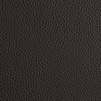 Dark gray Windsor 21 leather texture with a granulated, pebble-like pattern and matte finish, displaying a dense network of intersecting lines.