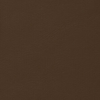 Brown leather texture with a smooth, glossy surface and natural grain pattern, displaying warm tones and consistent coloration throughout the sample.
