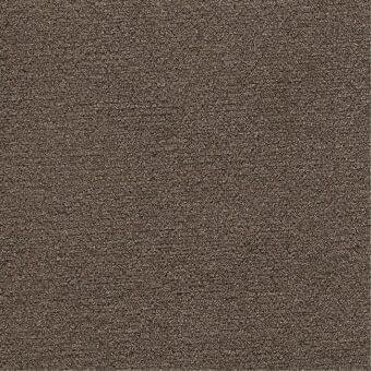 Dense granular texture in muted brown-gray tones, displaying irregular elements and subtle tonal variations against a neutral backdrop.