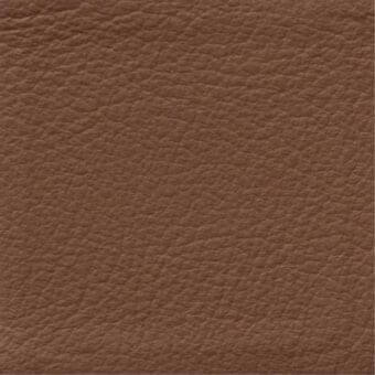 Costantini Pietro leather sample 834, medium brown full-grain texture with a granular, pebbled surface and matte finish.