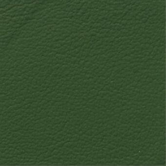 Green leather sample with a granular, pebbled texture; consistent muted tone with subtle variations, identified as Constantini Pietro 846.