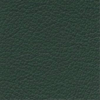 Green leather sample with a pebbled texture, displaying a matte finish and consistent grain; labeled “costantini pietro > leathers > 849”.