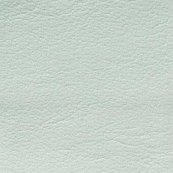 Light green leather texture sample with a pebbled grain, matte finish, and “costantini pietro > leathers > 850” label visible.