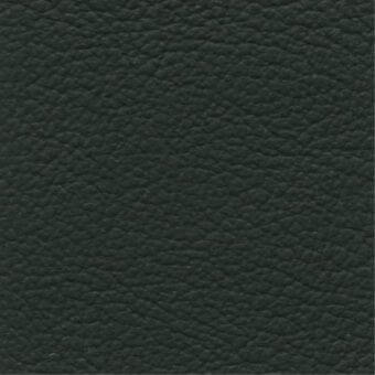 Dark green leather texture with a consistent, heavily pebbled surface and matte finish; label reads "costantini pietro > leathers > 857".