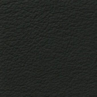 Dark gray leather texture sample, 858, displaying a granular, matte finish with irregular bumps and tonal variations across the full-grain surface.