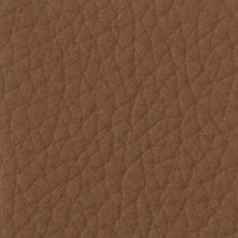 Brown pebble-grain leather texture sample, matte finish, consistent medium tone with subtle variations, from Constantini Pietro collection "907".