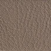 Taupe leather texture with a dense, irregular bumpy pattern and matte finish, presented as a close-up material sample.