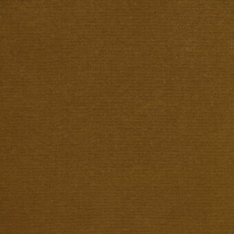 Regal E006