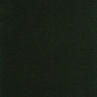Regal E038