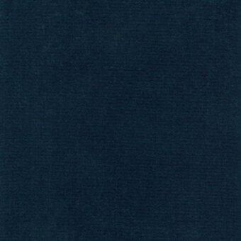 Regal E047