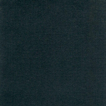Regal E070