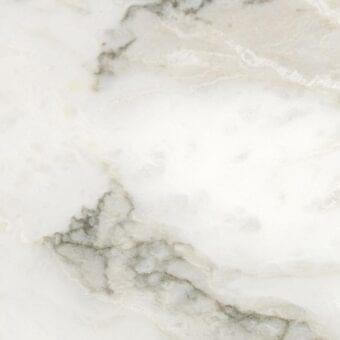 Carrara Bianco marble texture, white with irregular grey veining, polished finish displaying branching patterns and a fine-grained surface.